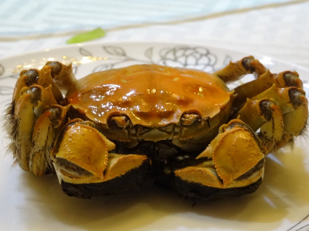 4-８上海蟹のフルコース   上海蟹
